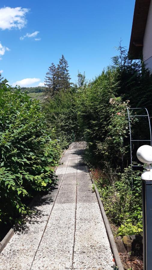 Ravissant Studio Dans Un Cadre Agreable Soultz-Haut-Rhin Exterior photo